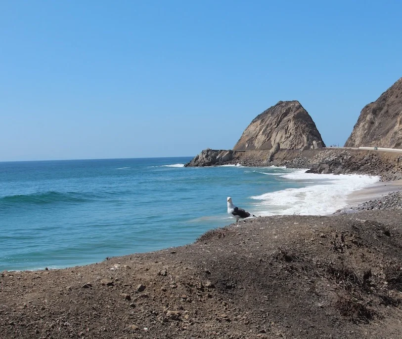 Point Mugu State Park
