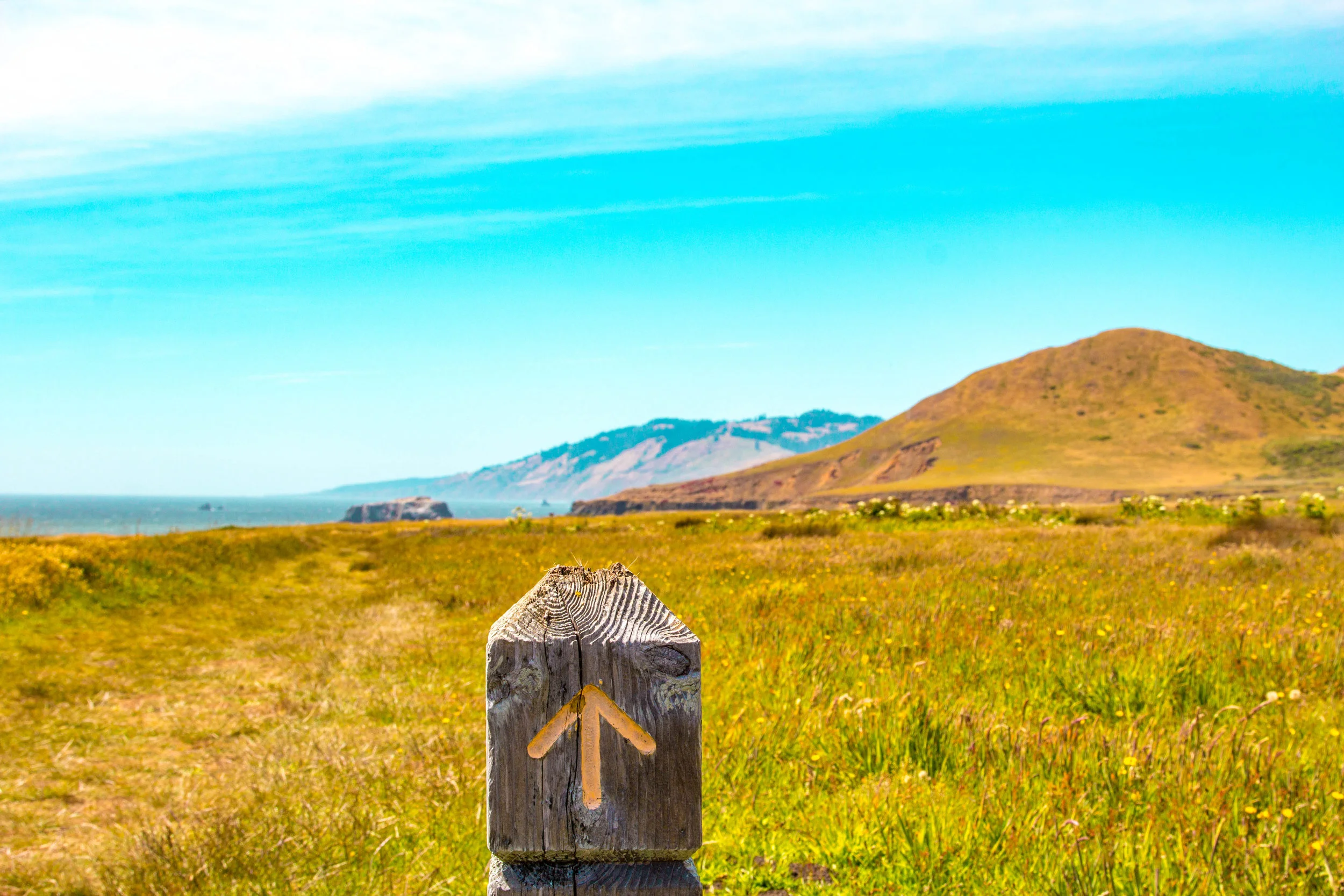 Sonoma Coast State Park