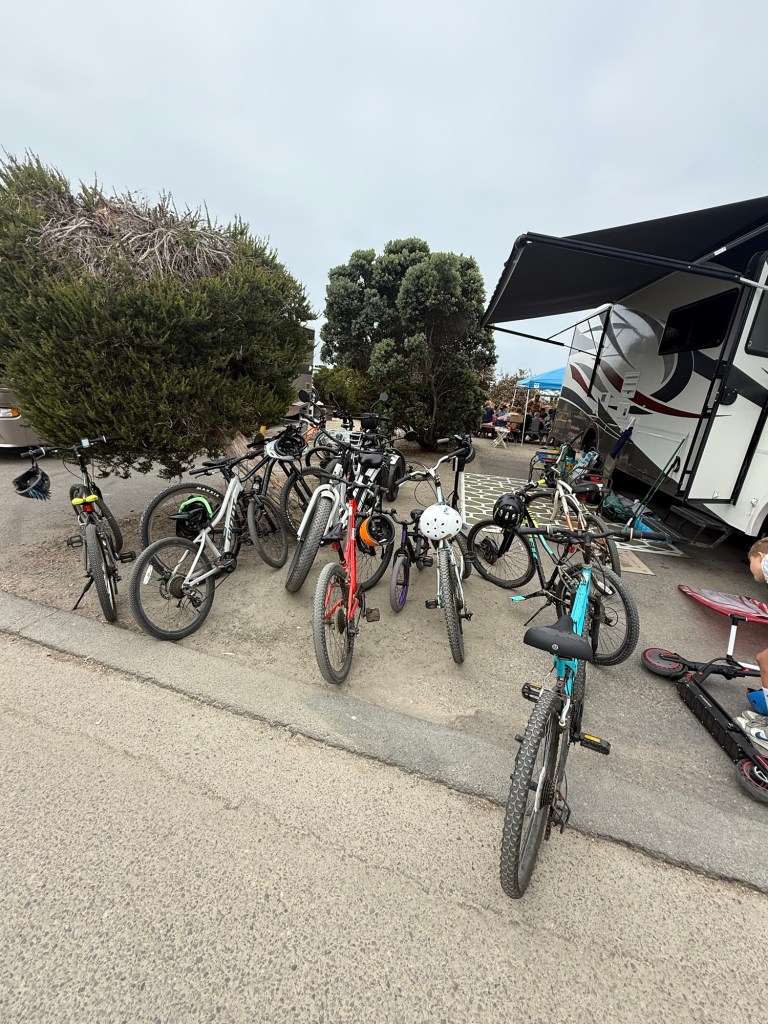 Bikes at a beach campsite