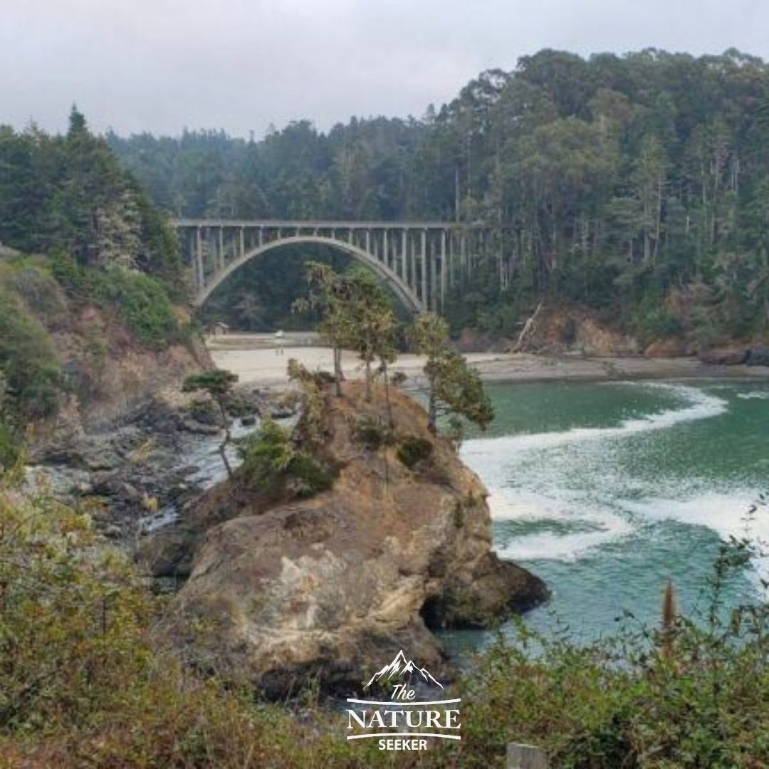 Russian Gulch State Park camping opportunities