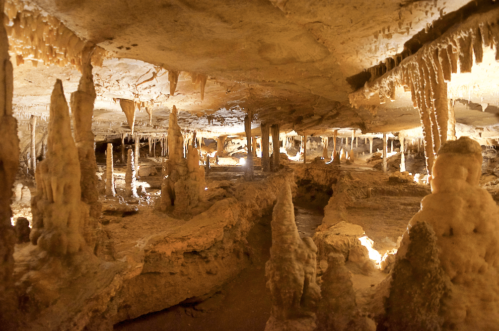 Walking trail inside Marengo Cave on Indiana Cave Trail