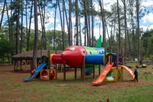 Children playing on a vibrant rocket-themed playground in a lush, wooded park area in Brasilia