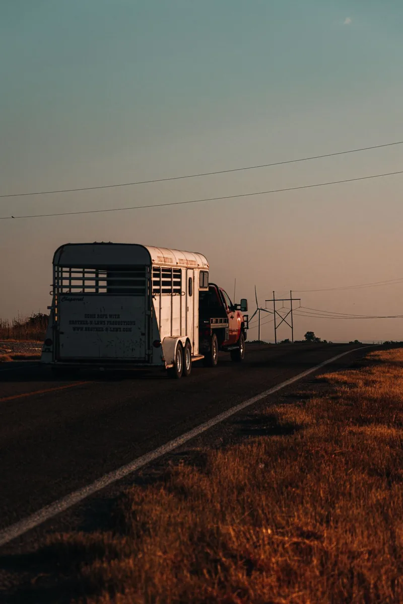 Truck towing a trailer along a rural road at sunset