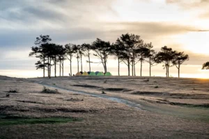Explore a serene camping view with tents, trees, and a pathway illuminated by sunrise light
